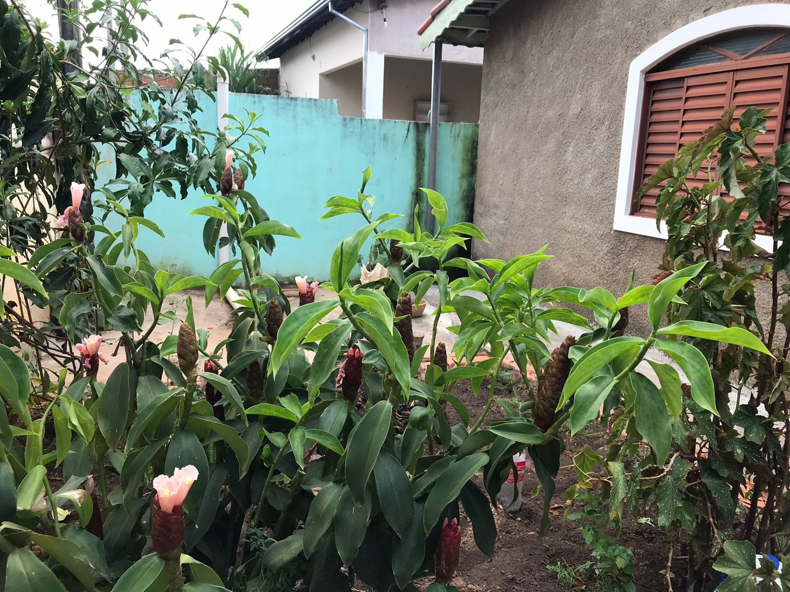 Casa, 2 quartos, 100 m² - Foto 43