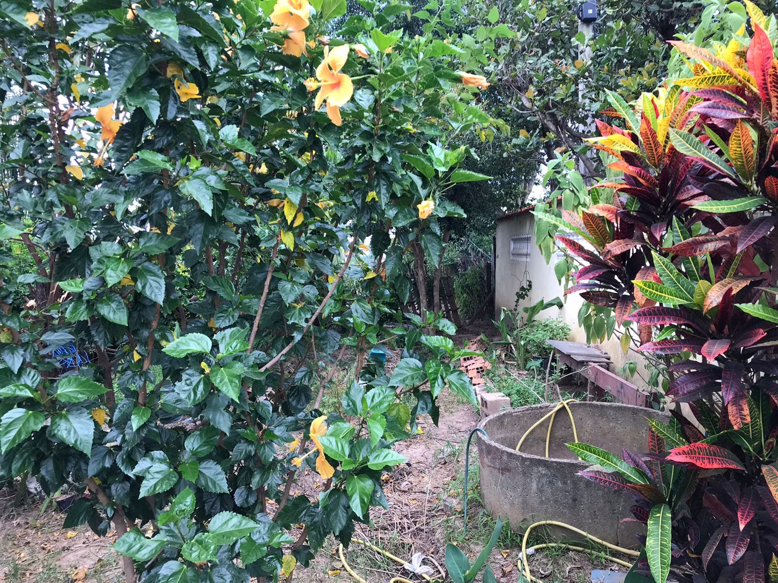 Casa, 2 quartos, 100 m² - Foto 44