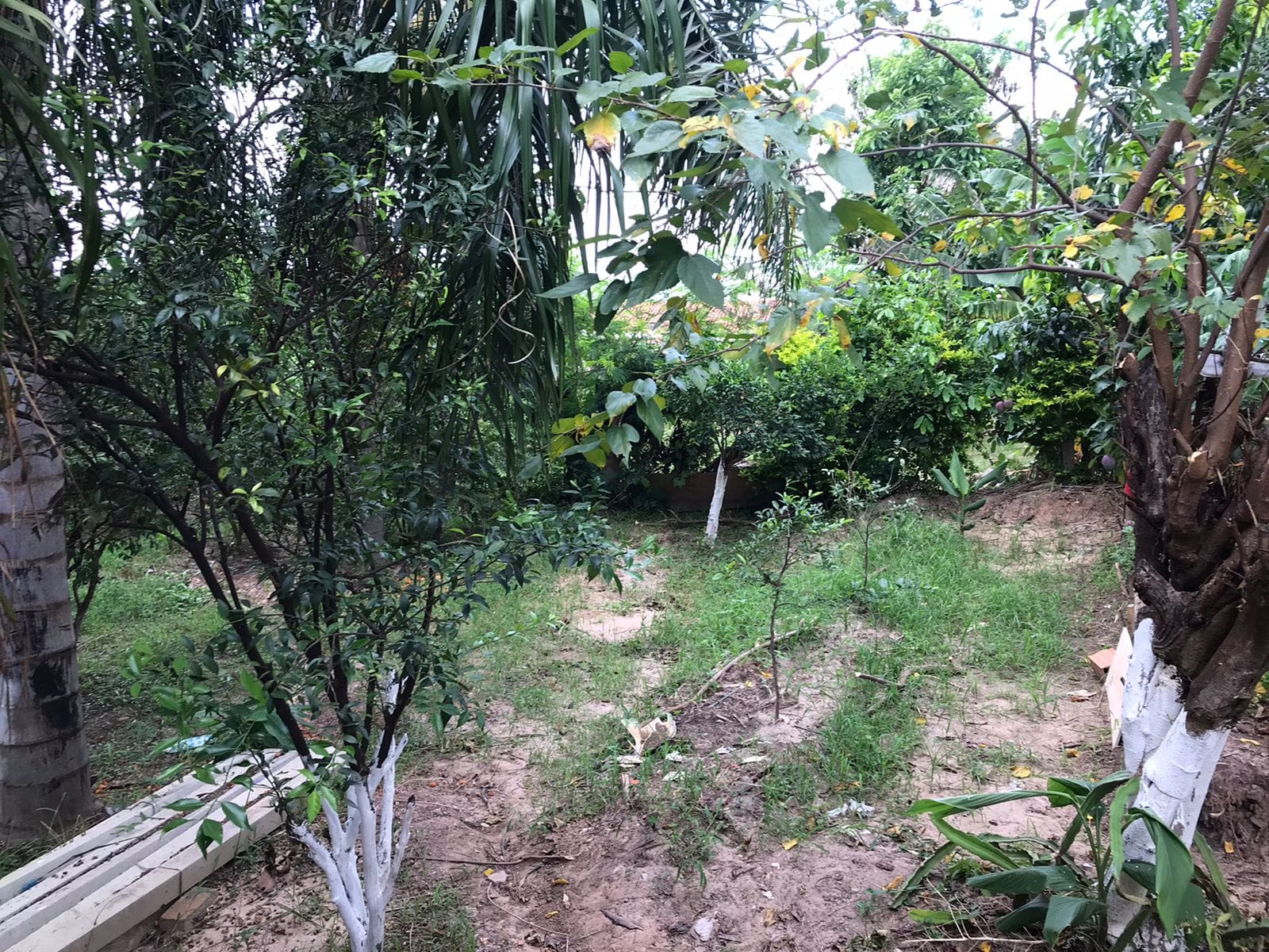 Casa, 2 quartos, 100 m² - Foto 46