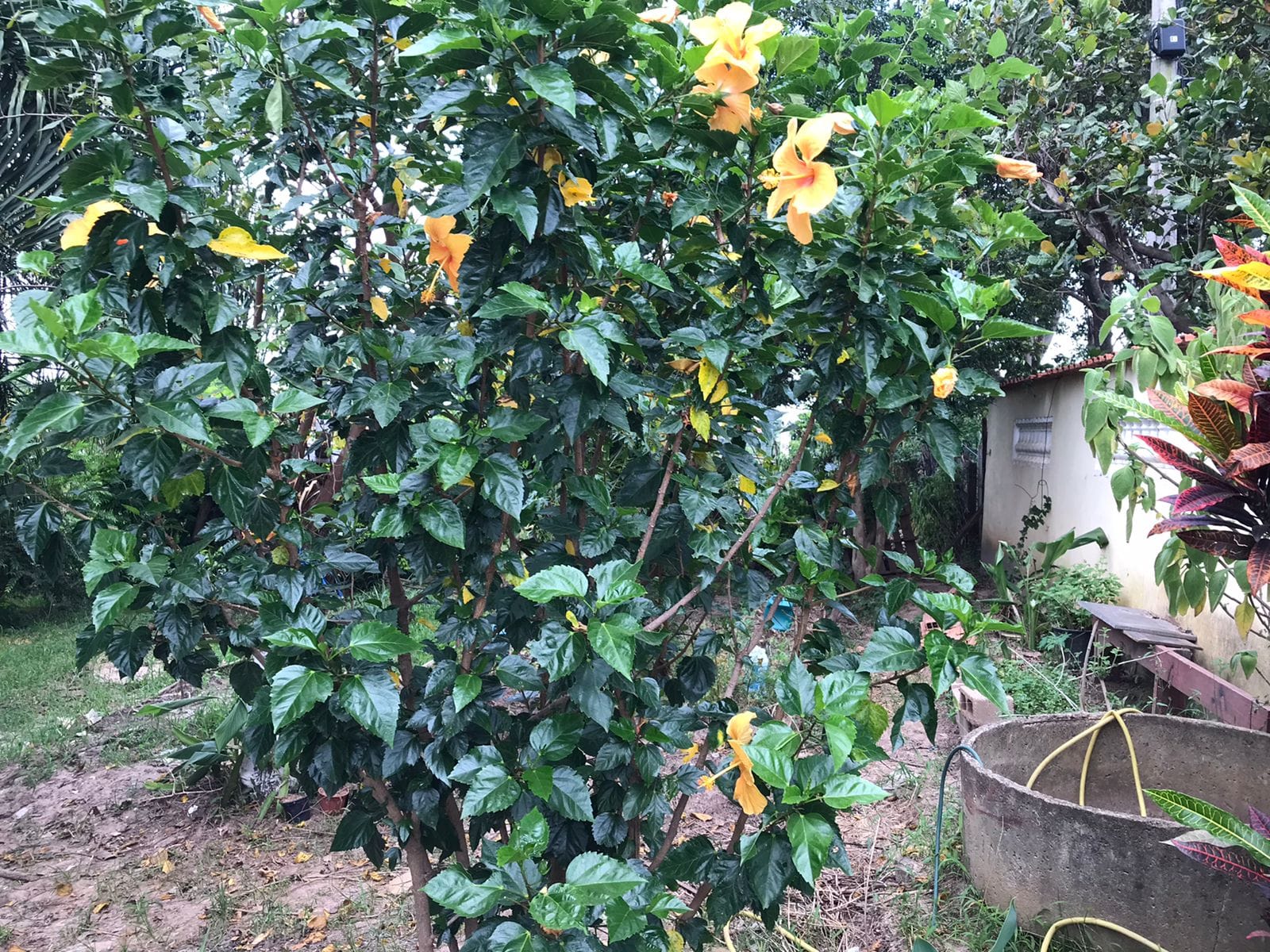 Casa, 2 quartos, 100 m² - Foto 47