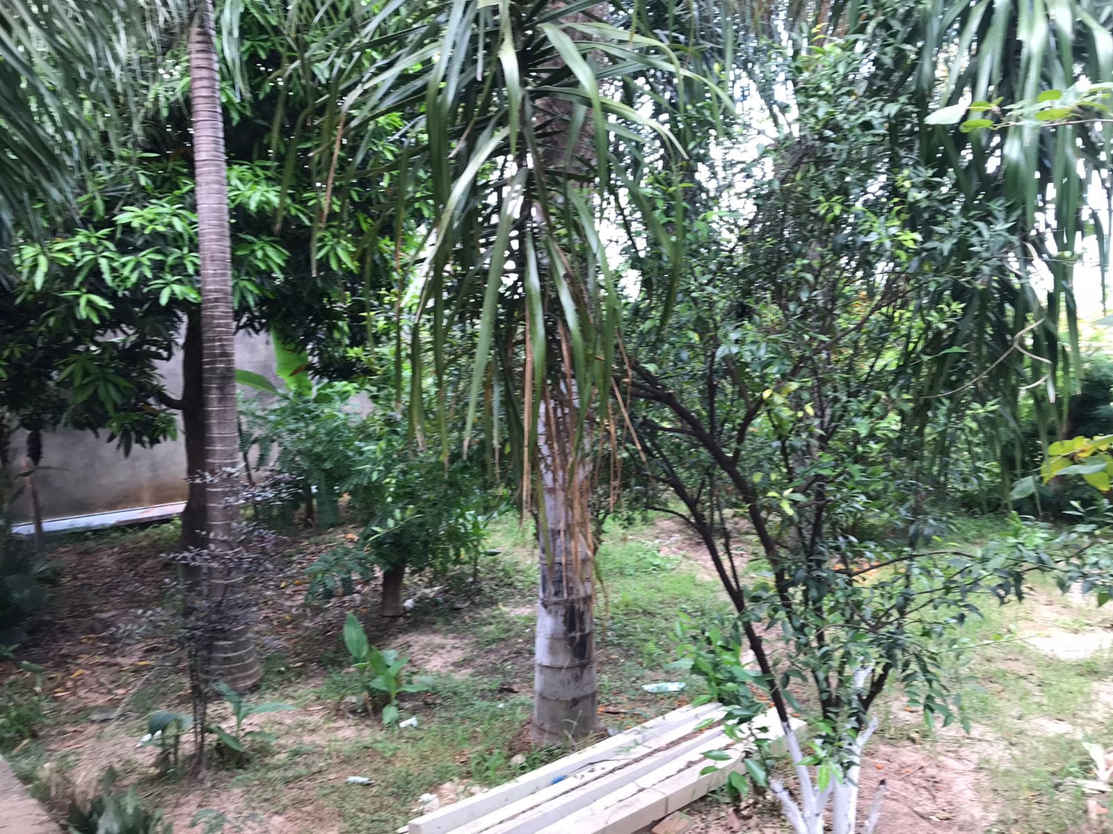 Casa, 2 quartos, 100 m² - Foto 21