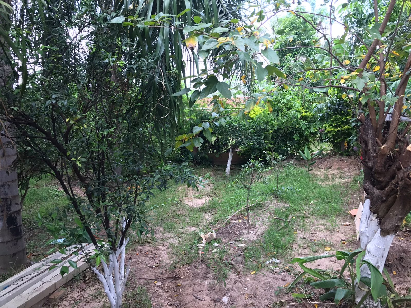 Casa, 2 quartos, 100 m² - Foto 13