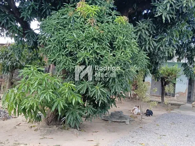 Casa com 448m² 2 quartos e 2 banheiros, à venda, no bairro Cordeiro em Recife