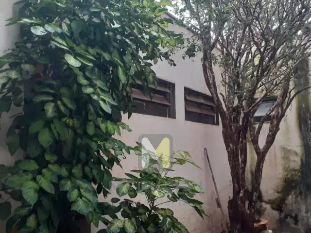 Casa com 250m² 3 quartos e 2 banheiros, à venda, no bairro Jardim Boa Vista em Serrana