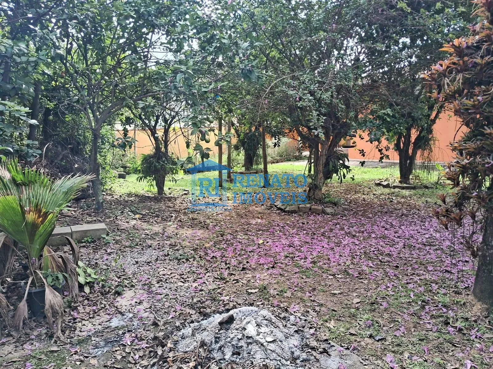 Casa, 3 quartos, 225 m² - Foto 27