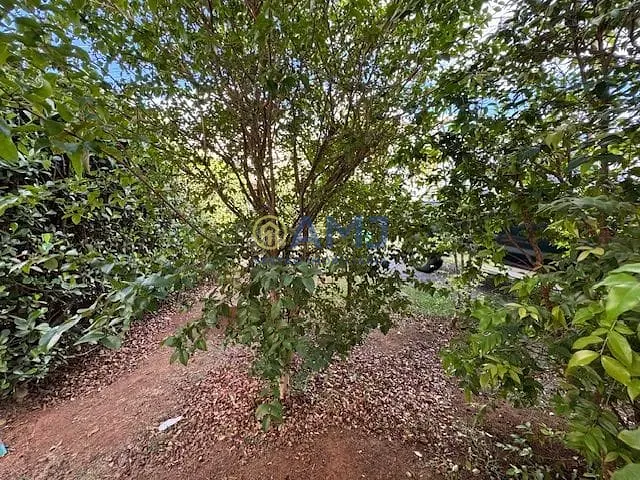 Casa, 4 quartos, 240 m² - Foto 26