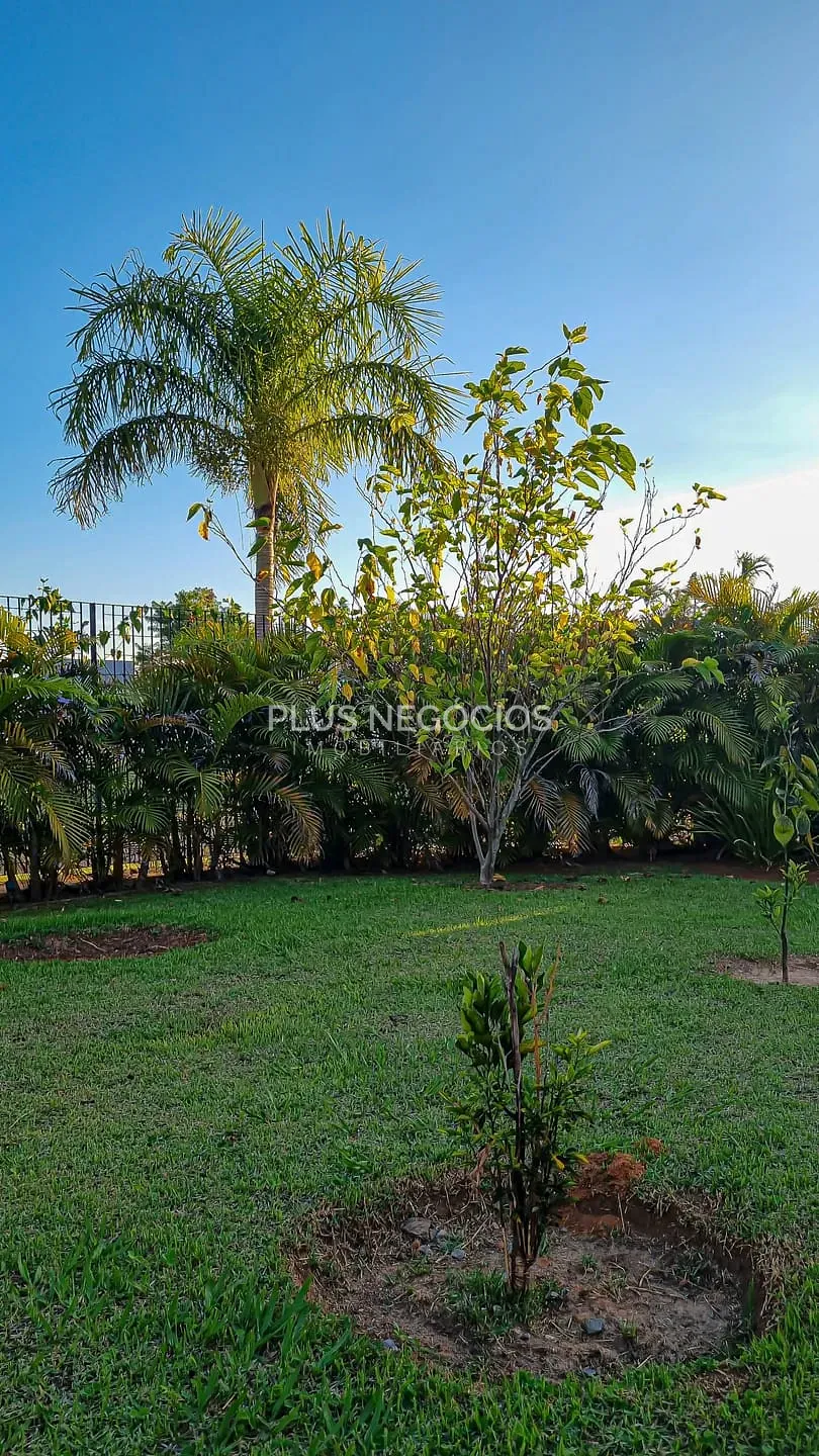 Casa, 4 quartos, 436 m² - Foto 87