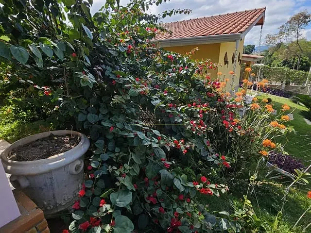 Casa com 800m² 4 quartos e 2 banheiros, à venda, no bairro Santa Fé 2 em Joanópolis