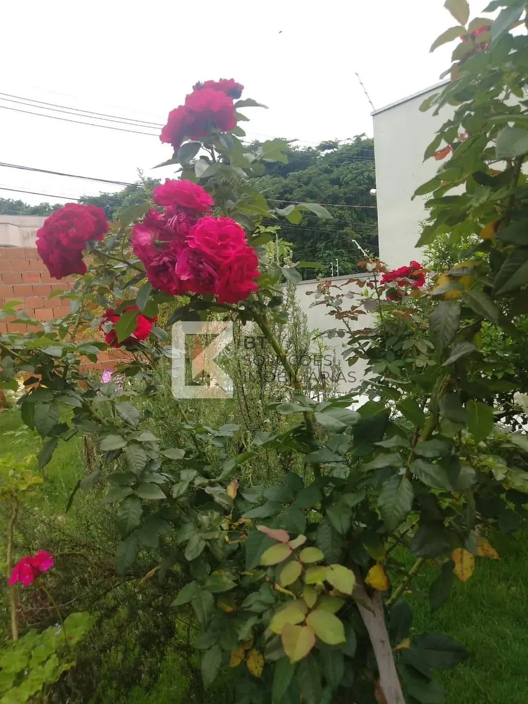 Casa, 2 quartos, 86 m² - Foto 15