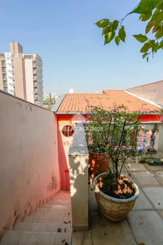 Casa, 3 quartos, 284 m² - Foto 31