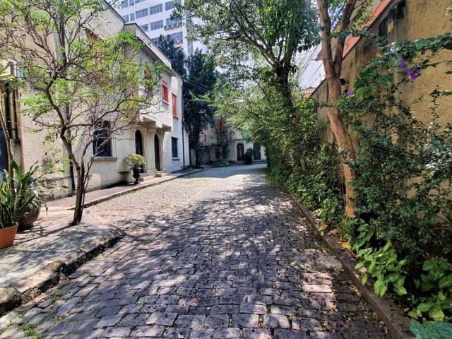 Foto do Casa - Casa  para locação com 3 dormitórios, sendo 113 m² Exclusividade e conforto em Higienópolis- São Paulo/SP | Paulista Imóveis