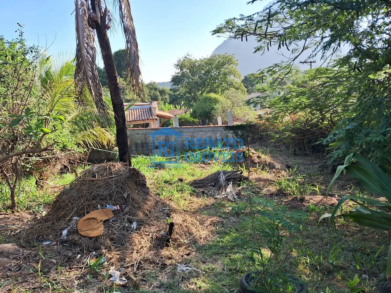 Casa, 3 quartos, 1200 m² - Foto 5