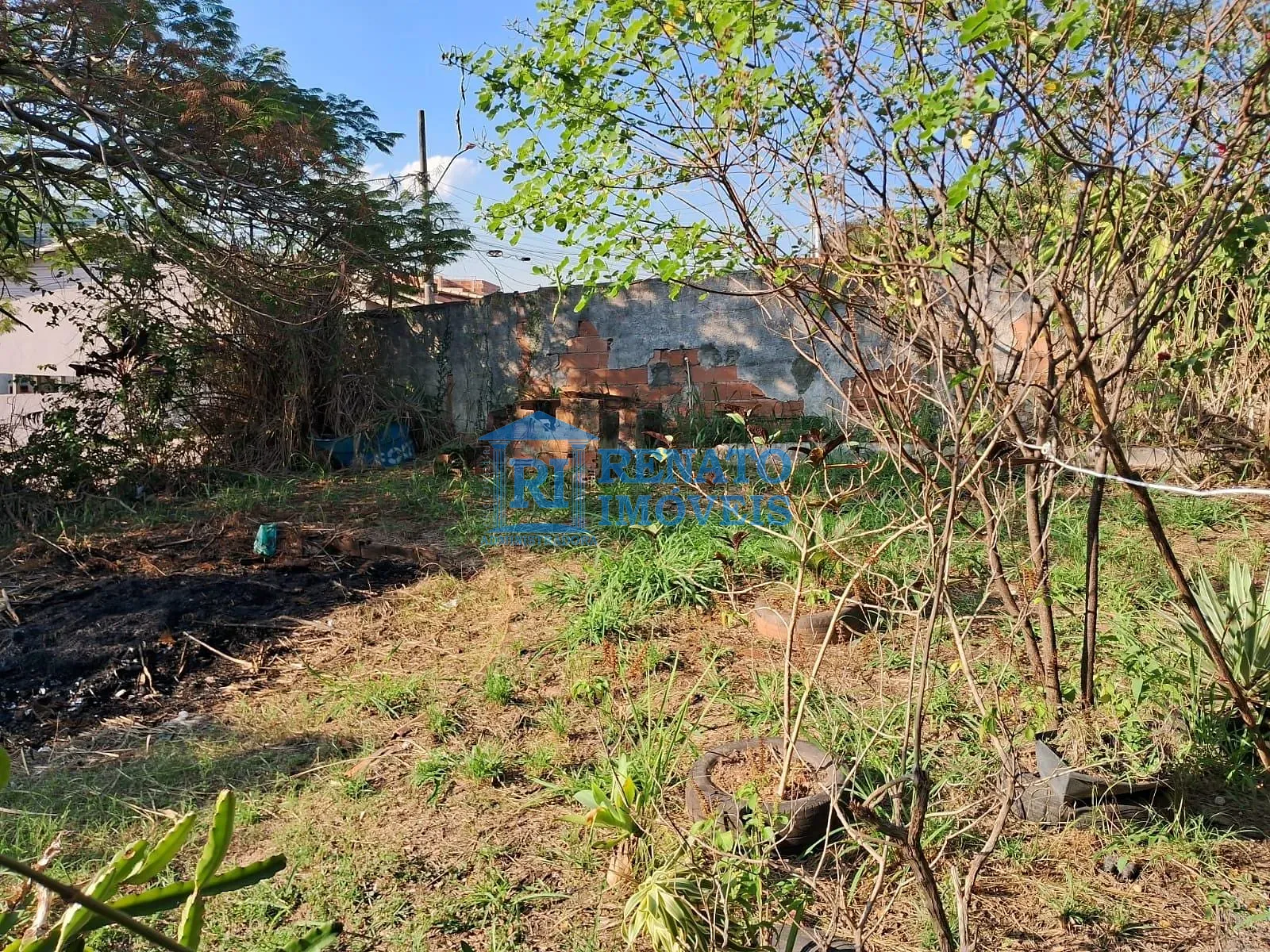 Casa, 3 quartos, 1200 m² - Foto 12