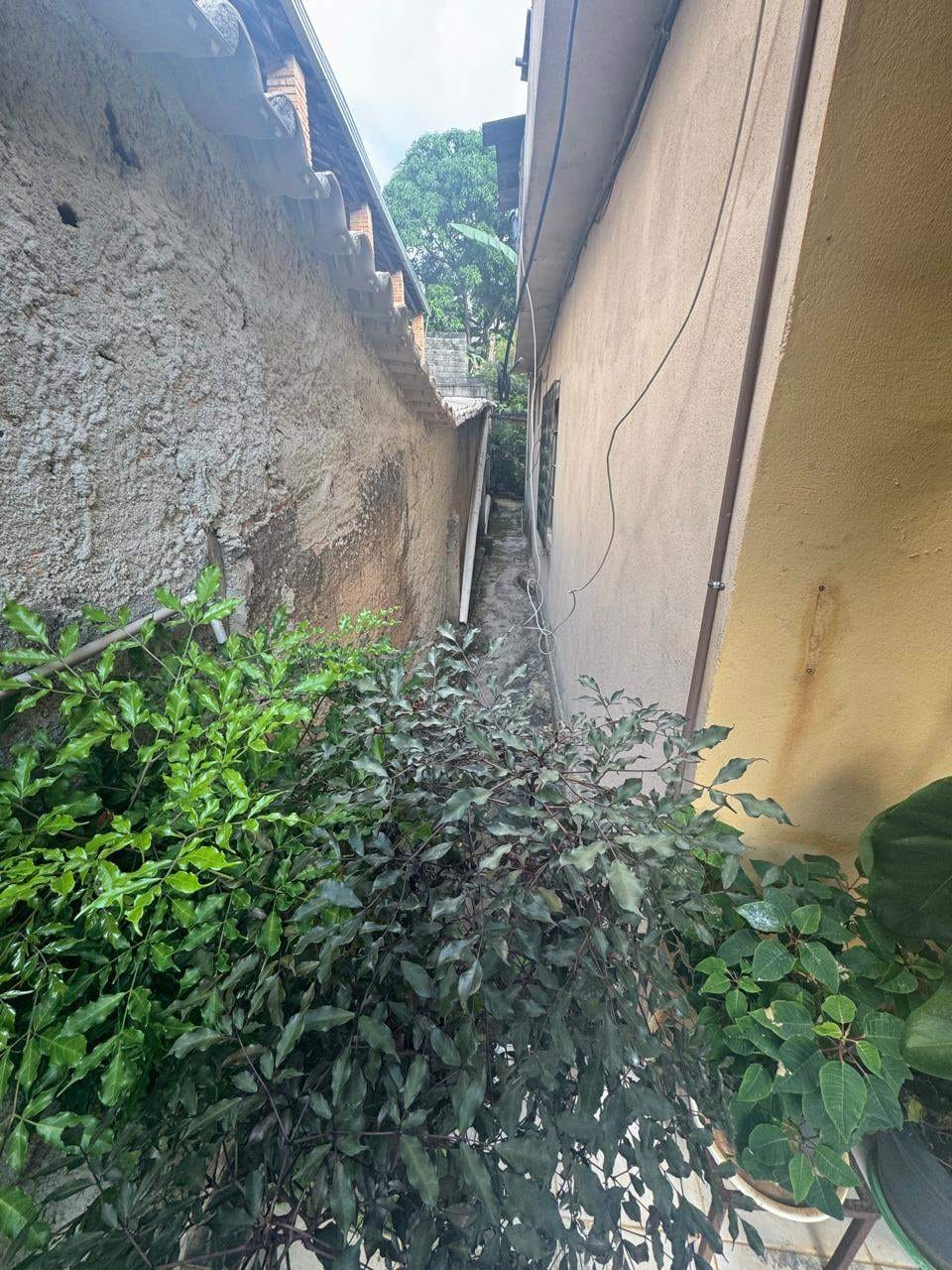 Casa à venda com 4 quartos, 360m² - Foto 13