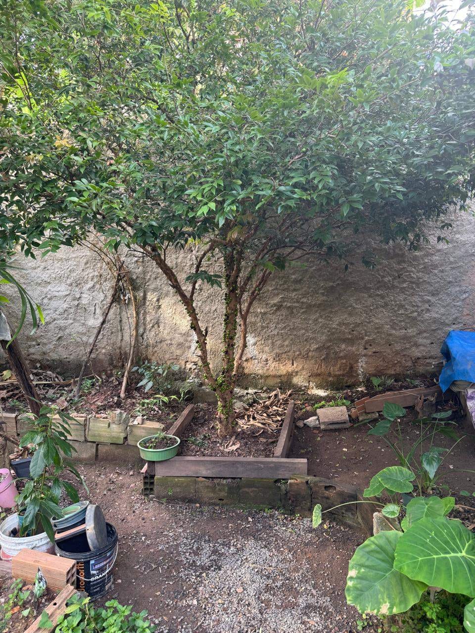 Casa à venda com 4 quartos, 360m² - Foto 42