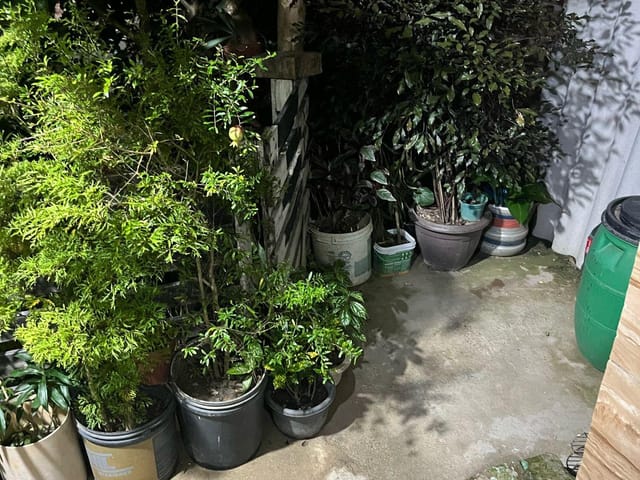 Casa 3 quartos e 1 banheiro, à venda, no bairro Tupi B em Belo Horizonte