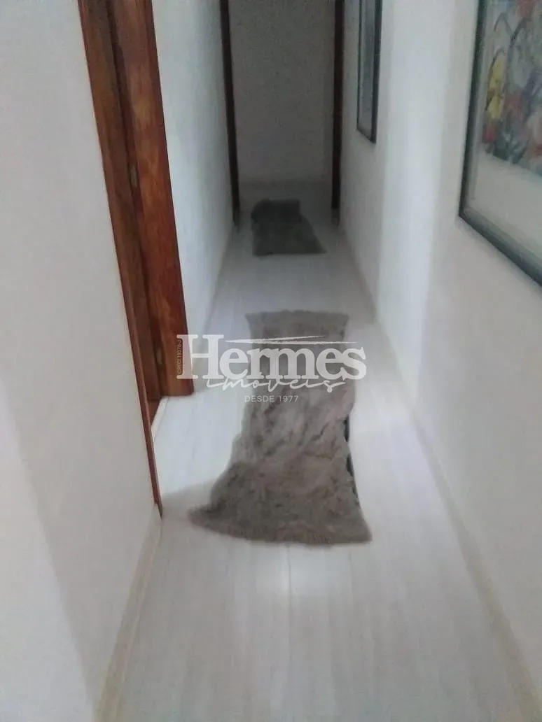 Casa, 4 quartos, 297 m² - Foto 9