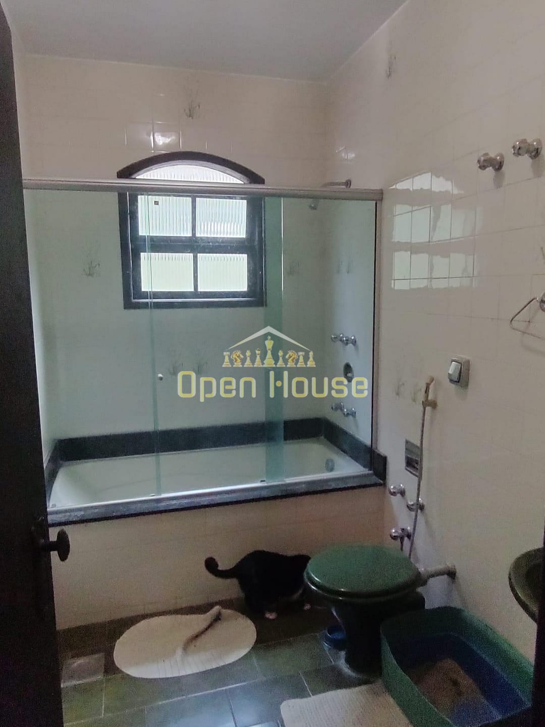 Casa, 4 quartos, 300 m² - Foto 33