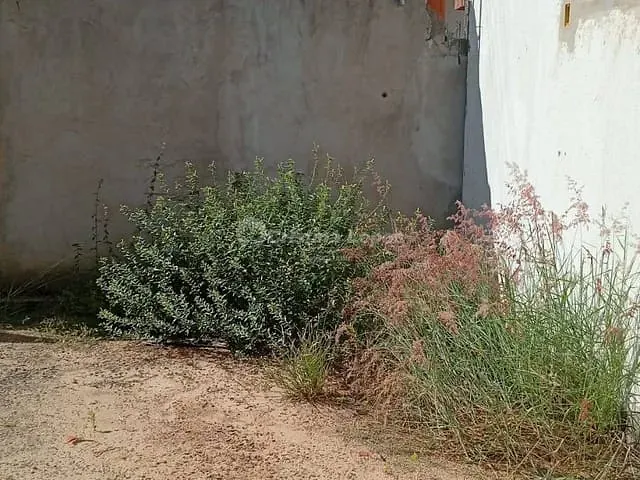 Casa com 160m² 3 quartos e 2 banheiros, à venda, no bairro Vale Quem Tem em Teresina