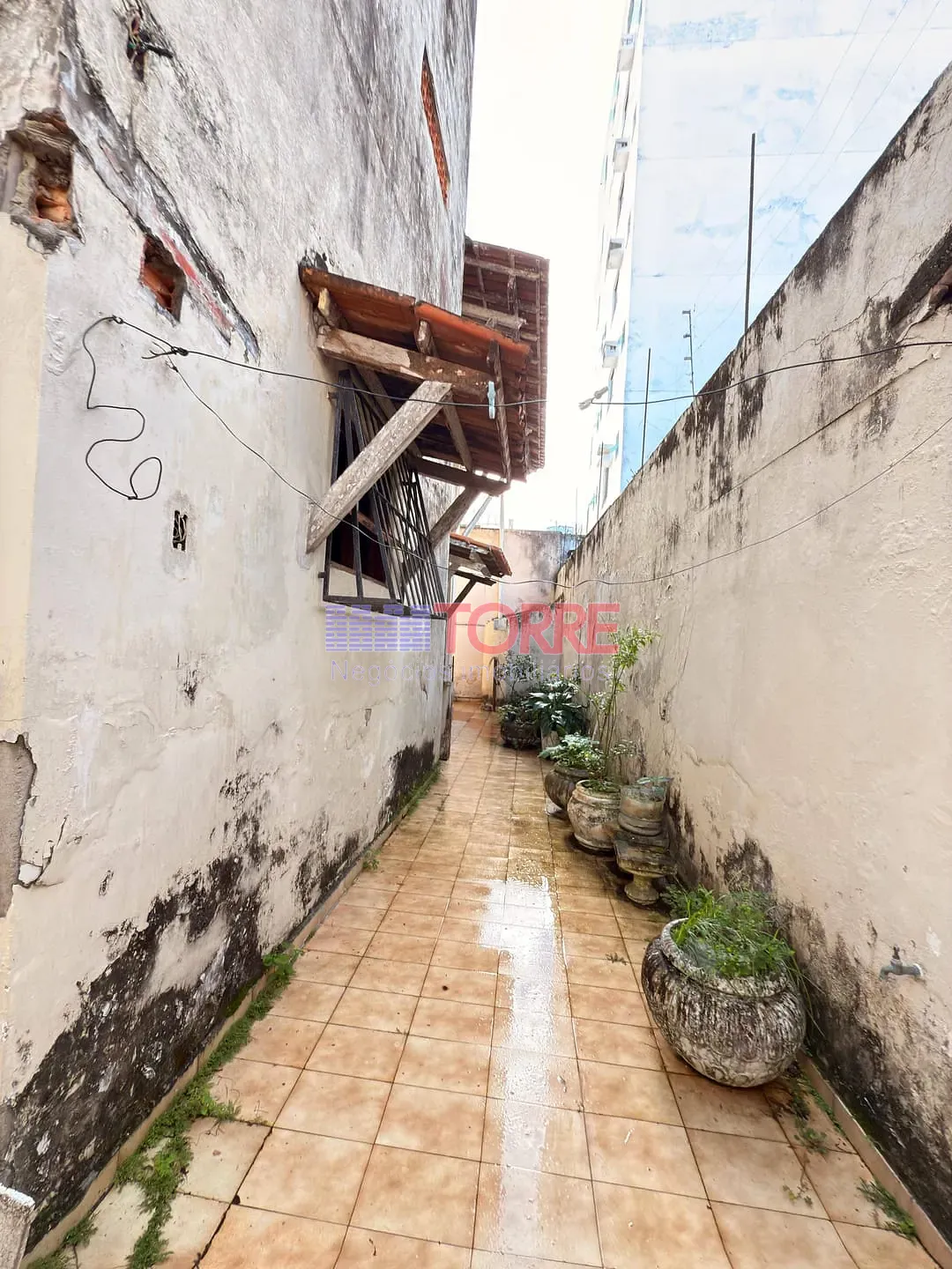Casa, 4 quartos, 250 m² - Foto 11