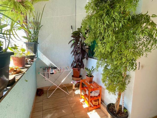 Casa 3 quartos e 1 banheiro, à venda, no bairro Belmonte em Belo Horizonte