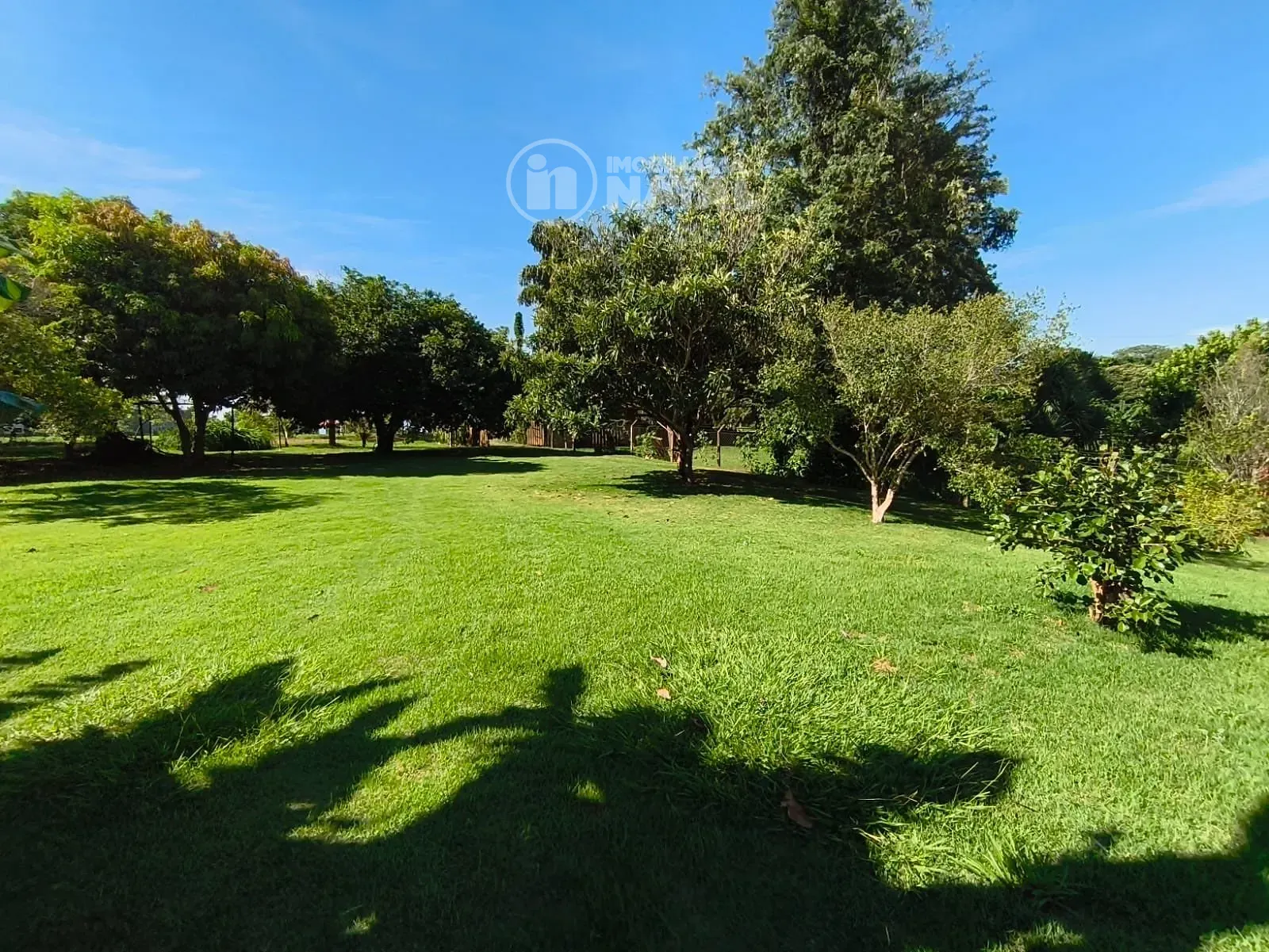 Casa, 1 quarto, 300 m² - Foto 3