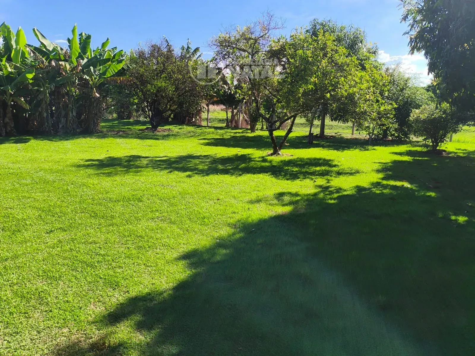 Casa, 1 quarto, 300 m² - Foto 12