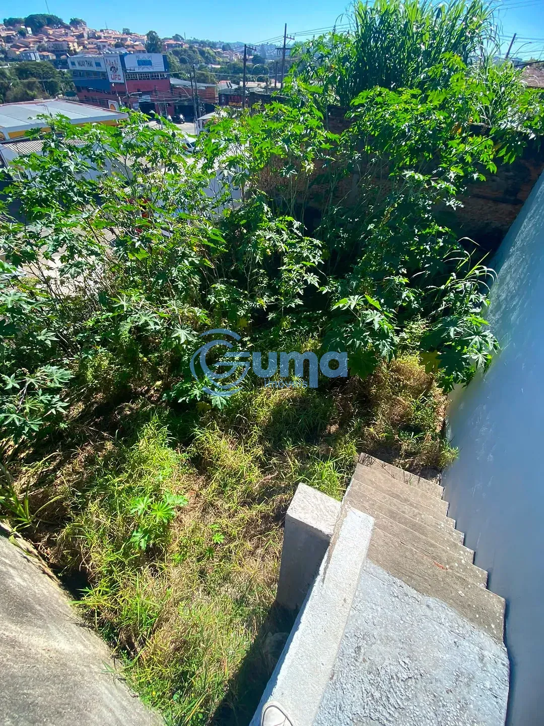 Casa, 4 quartos, 277 m² - Foto 57