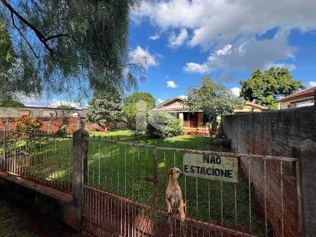 Casa com 552m², à venda, no bairro Vila Oliveira em Rolândia