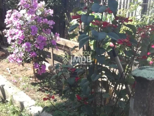 Casa 5 quartos e 2 banheiros, à venda, no bairro Parque São Luiz em Jundiaí