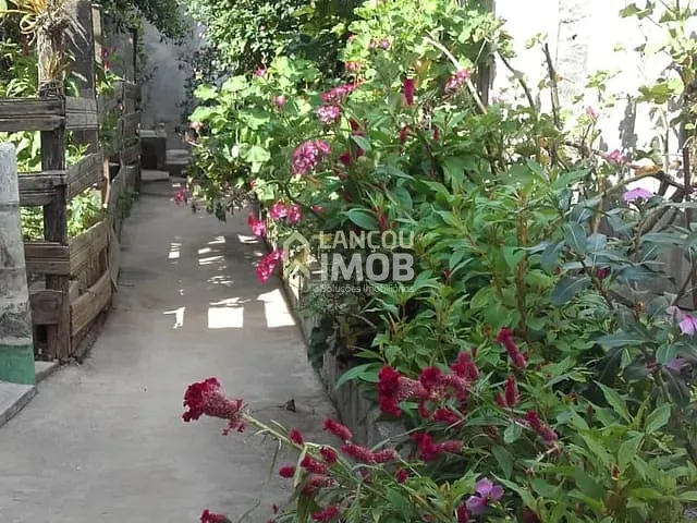 Casa 5 quartos e 2 banheiros, à venda, no bairro Parque São Luiz em Jundiaí