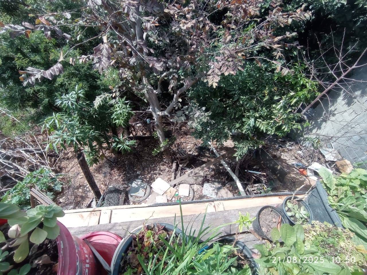 Casa, 3 quartos, 200 m² - Foto 3