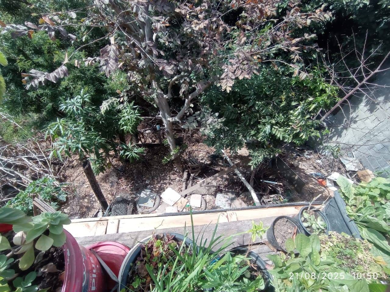 Casa, 3 quartos, 200 m² - Foto 11