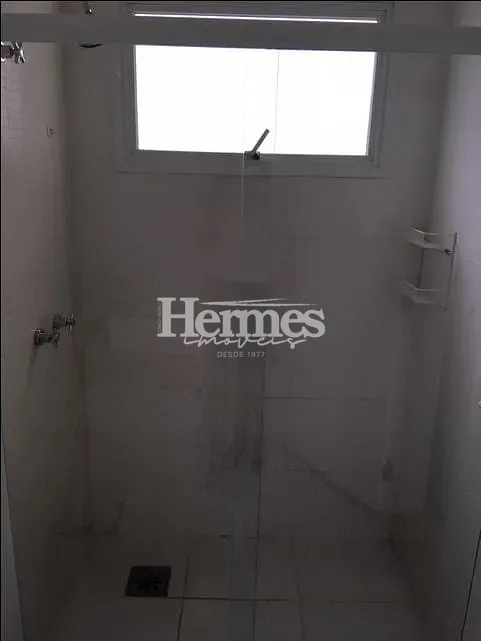 Casa, 3 quartos, 245 m² - Foto 13