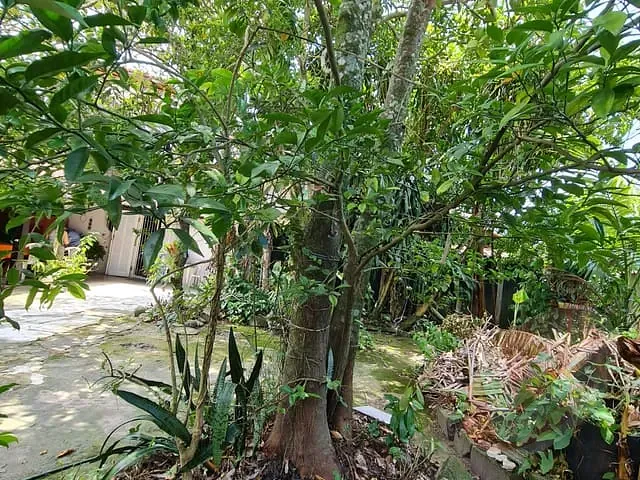 Casa com 447m² 3 quartos e 3 banheiros, à venda, no bairro Flórida em Praia Grande