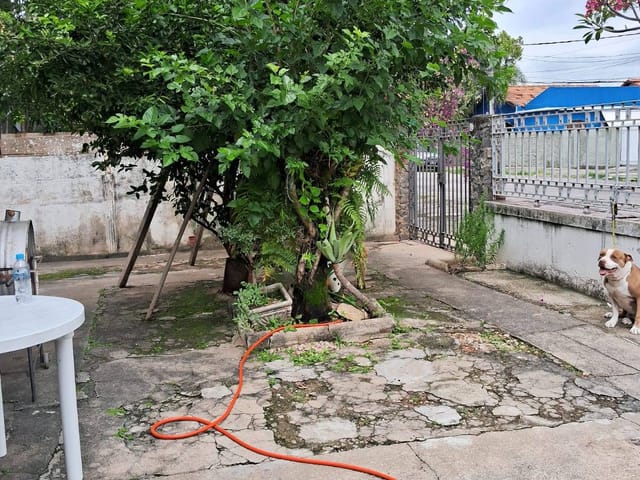 Casa com 297m² 3 quartos e 1 banheiro, à venda, no bairro Marechal Hermes em Rio de Janeiro