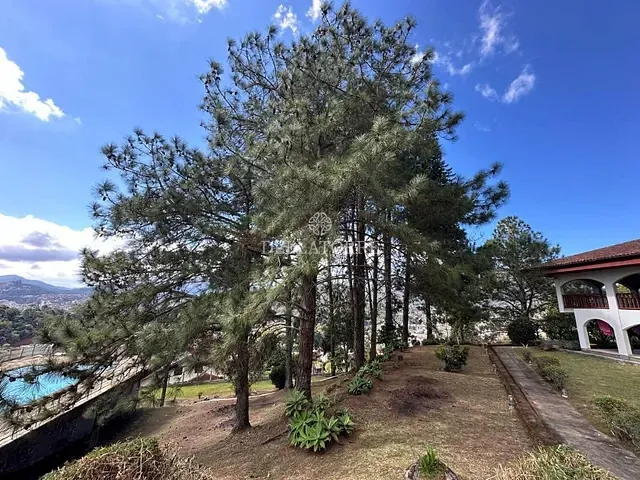 Casa com 5935m² 5 quartos e 5 banheiros, à venda, no bairro Iucas em Teresópolis