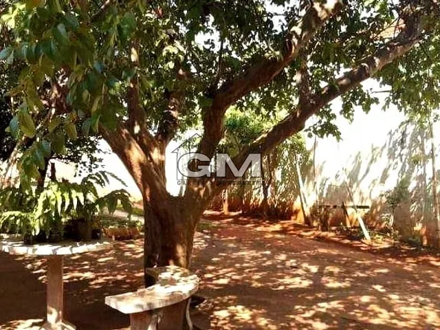 Casa com 546m² 3 quartos e 2 banheiros, à venda, no bairro Vila Tibério em Ribeirão Preto