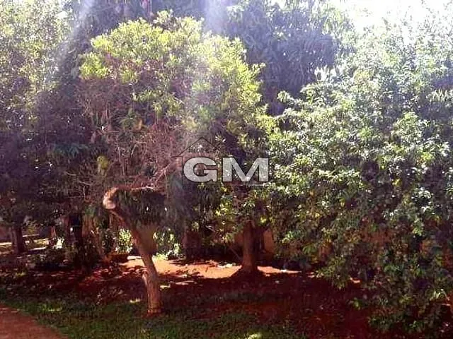 Casa com 546m² 3 quartos e 2 banheiros, à venda, no bairro Vila Tibério em Ribeirão Preto