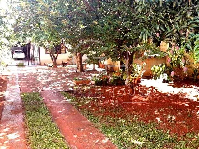 Casa com 546m² 3 quartos e 2 banheiros, à venda, no bairro Vila Tibério em Ribeirão Preto