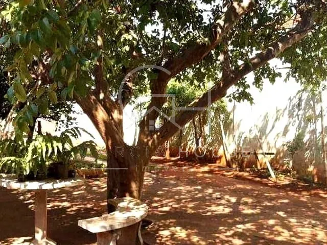 Casa com 546m² 3 quartos e 2 banheiros, à venda, no bairro Vila Tibério em Ribeirão Preto