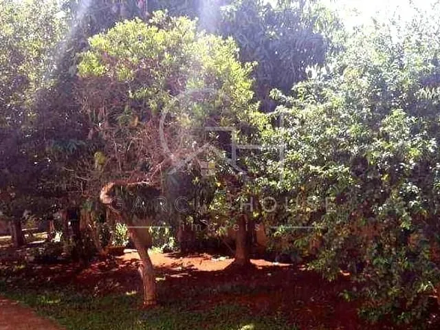 Casa com 546m² 3 quartos e 2 banheiros, à venda, no bairro Vila Tibério em Ribeirão Preto