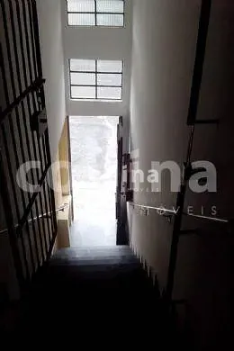 Casa, 1 quarto, 500 m² - Foto 6