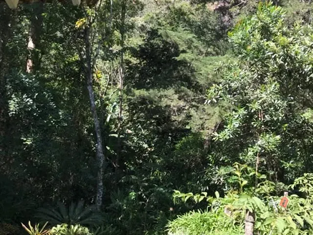 Casa com 1000m², à venda, no bairro Duarte Silveira em Petrópolis