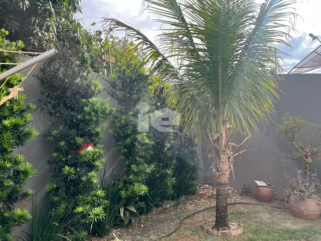 Casa com 392m² 3 quartos e 2 banheiros, à venda, no bairro Jardim Santa Mônica em Rolândia