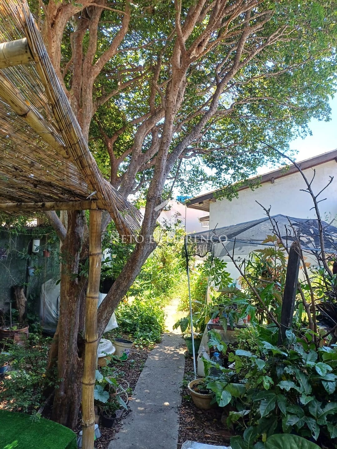 Casa, 3 quartos, 288 m² - Foto 36