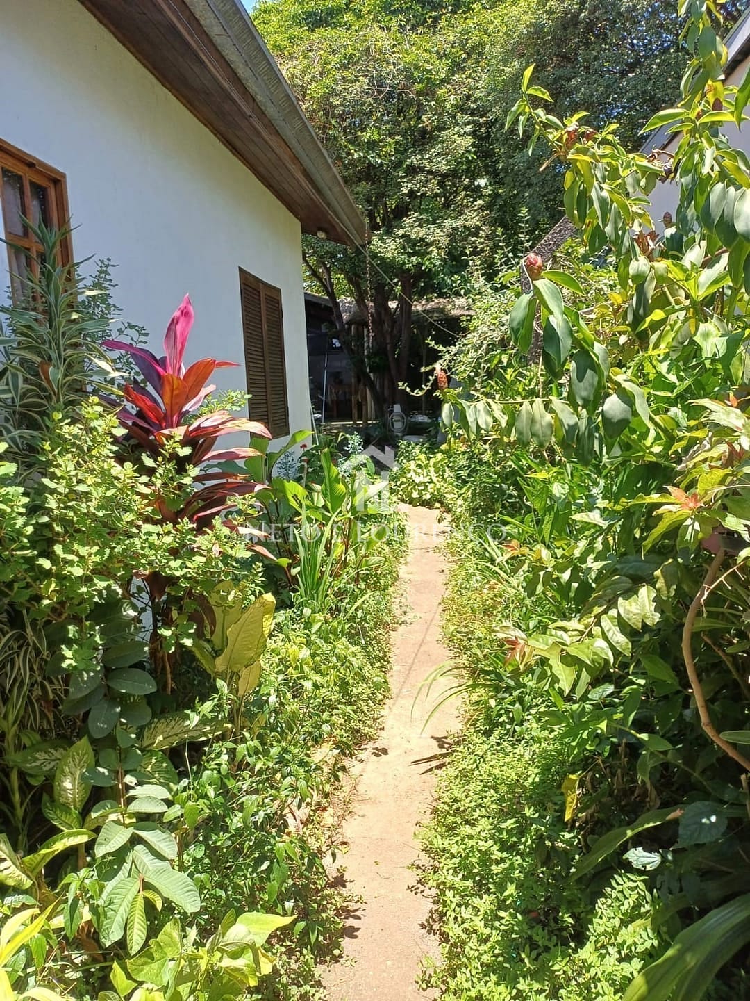 Casa, 3 quartos, 288 m² - Foto 6