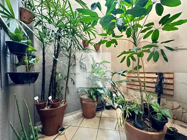 Casa com 266m² 3 quartos e 3 banheiros, à venda, no bairro Jardim da Colina em Americana