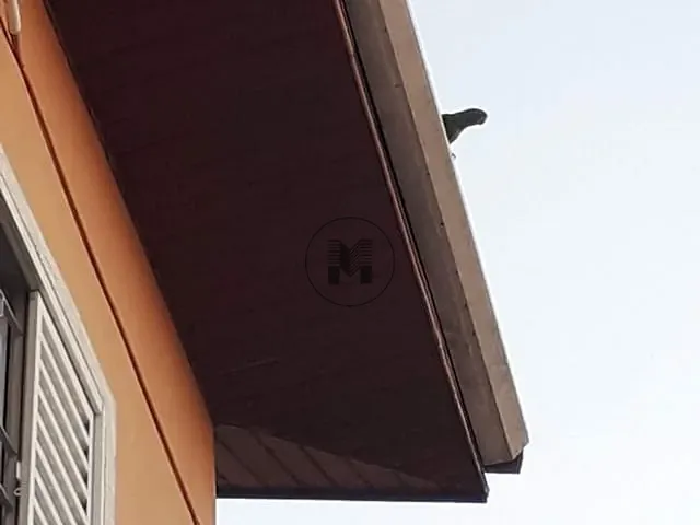 Casa com 300m² 3 quartos e 2 banheiros, à venda, no bairro Portal das Colinas em Guaratinguetá