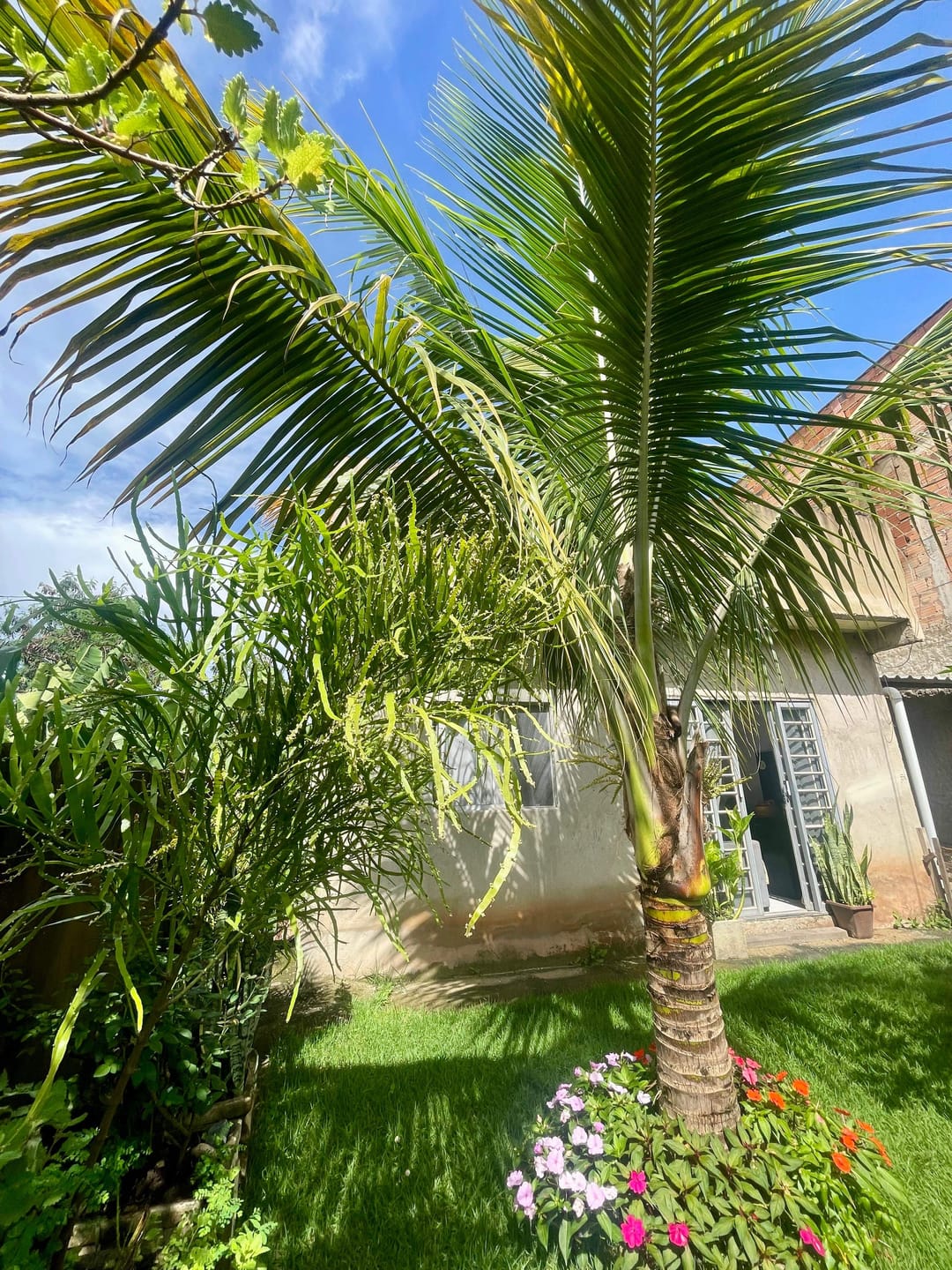 Casa, 2 quartos, 180 m² - Foto 20